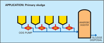 ODS pumps driving a primary sludge process.